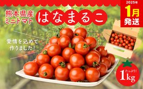 【2025年1月発送】熊本県産 ミニトマト はなまるこ 1kg 野菜 旬 熊本 とまと 