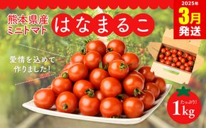 【2025年3月発送】熊本県産 ミニトマト はなまるこ 1kg 野菜 旬 熊本 とまと 