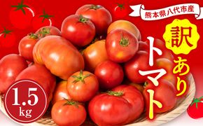 【訳あり】 八代市産 規格外トマト 1.5kg 熊本県 トマト 野菜