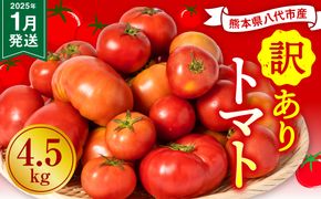 【訳あり】 八代市産 規格外トマト 4.5kg 熊本県 トマト 野菜【2025年1月発送】