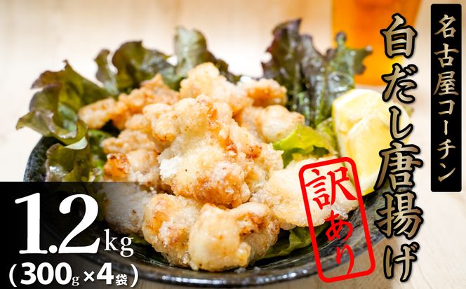 ymɓsz󂠂  WŊȒP!W[V[!ÉR[`g 1.2kg(300g×4) H001-075