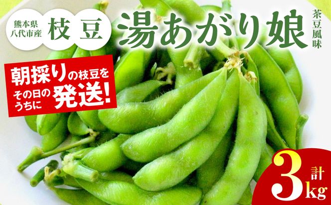 yF{szys\z F{sY } [薺i) ] 3kg ܂ ٓ ܂  { G_} ̂ y  y2026N6{菇z