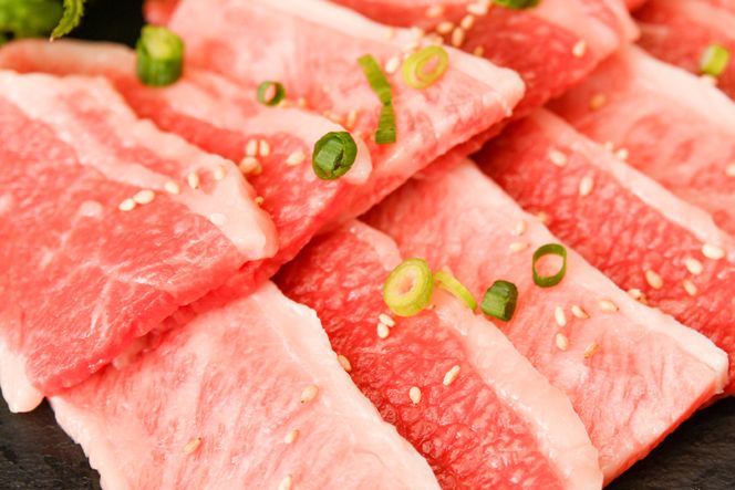 仙台牛 A5 カルビ 焼肉用 霜降り 赤身 500g [からくわ精肉店 宮城県 気仙沼市 20563355] 肉 牛肉 和牛 国産 冷凍 