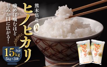 八代市産 ヒノヒカリ 15kg (5kg×3袋) 令和5年産 米 熊本 送料無料