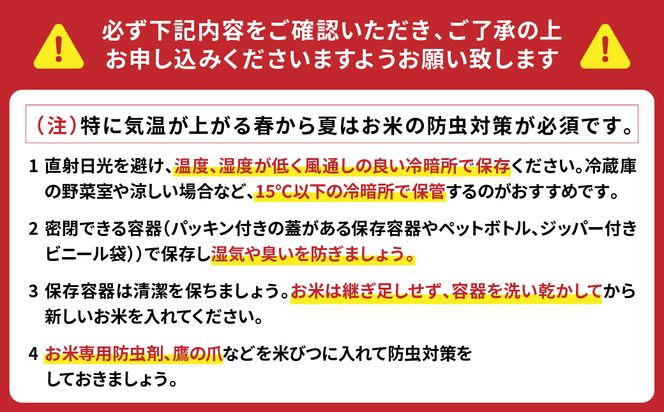 【令和6年産】八代市産 ヒノヒカリ 15kg (5kg×3袋)  米 熊本