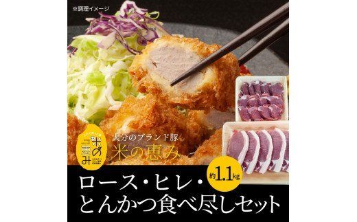 【A02023】米の恵み　ロース・ヒレ・とんかつ食べ尽しセット　約1.1kg