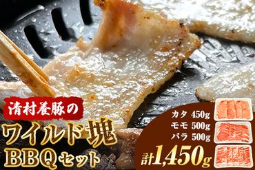 ワイルド塊BBQセット 計1450g 清村養豚 [30日以内に出荷予定(土日祝除く)] 熊本県 御船町 豚 肉 冷凍 小分け カタ モモ バラ---sm_fkymwibbq_30d_23_13500_1450g---