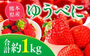 【先行予約】ゆうべにいちご　約1kg 果物 くだもの 旬 ジャム 季節の果物 【2026年2月上旬より順次発送】