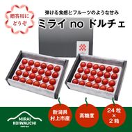 B4121 【数量・期間限定】【7月上旬から順次発送】『ミライ no ドルチェ』プレミアム 新潟県村上産ミニトマト（化粧箱入り）500g程度×2ケース