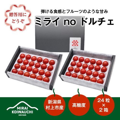 yVszB4121 yʁEԌzy7{珇zw~C no h`Fxv~A VY~jg}giϔj500gx×2P[X