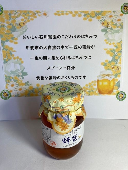 石川蜜園そのまんま　蜂蜜　５5０g１本　AE-2