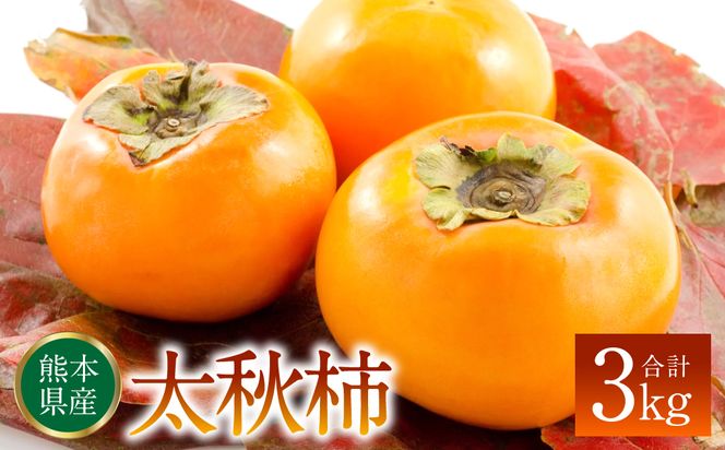 熊本県産 太秋柿 約3kg(8〜16玉)