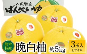 【先行予約】 熊本県八代市産 晩白柚 Lサイズ 3玉入り 約5kg 果物 くだもの フルーツ 柑橘類 青果物 特産品 お取り寄せ 【2025年12月中旬より順次発送】