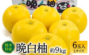 【先行予約】 晩白柚Lサイズ 6玉入り 約9kg 【2024年12月中旬より順次発送】