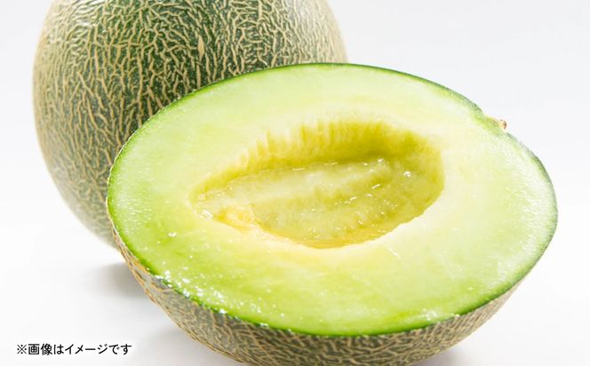 【先行予約】 熊本県八代市産 肥後グリーンメロン L以上  4～6玉 約7kg 果物 くだもの フルーツ 肥後グリーン メロン 青肉メロン 【2026年6月上旬より順次発送】