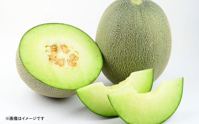 【先行予約】 熊本県八代市産 肥後グリーンメロン 4L以上 2玉 約4kg 果物 くだもの フルーツ 肥後グリーン メロン 青肉メロン 【2026年6月上旬より順次発送】