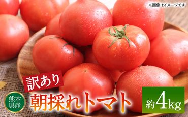 【先行予約】【訳あり】朝採れトマト 約4kg 熊本県 八代市産 野菜 とまと 【2024年11月上旬より順次発送】