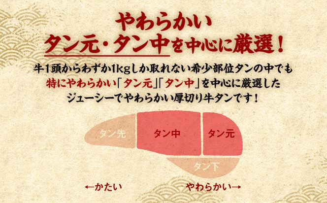 【3回定期便】 訳あり 厚切り 牛タン 塩ダレ漬け 500g (軟化加工)