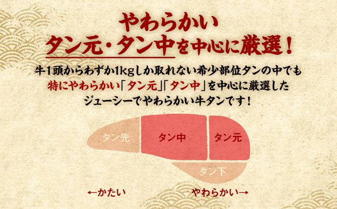 【3回定期便】【訳あり】 牛タン 食べ比べセット 塩ダレ漬け 1kg 厚切り 薄切り 各500g 