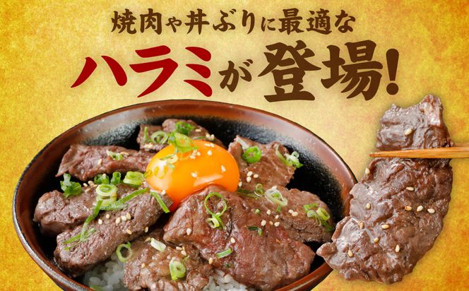 【訳あり】牛ハラミ 焼肉 (軟化加工) 900g 訳あり 訳アリ 牛ハラミ 牛ハラミ肉 ハラミ ハラミ肉 ハラミ焼肉 牛肉 焼肉 焼肉丼 冷凍 【2025年1月発送】