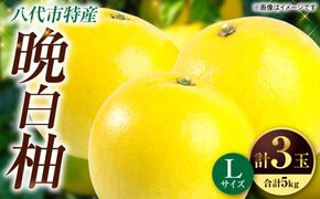 【先行予約】晩白柚Lサイズ3玉(5Kg)【2024年12月中旬より順次発送】