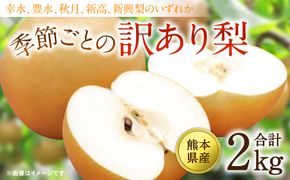 【先行予約】【2025年8月上旬より順次発送】熊本県産 季節ごとの訳あり梨 合計2kg　ナシ 幸水 豊水 秋月 新高 神興梨 果物 くだもの フルーツ