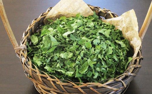 モリンガ茶〈2パック〉&モリンガパウダー〈2パック〉セット(熊本県天草産100%) 