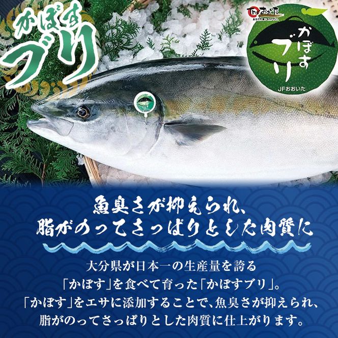 ＜期間限定＞かぼすブリフィーレとブリチャン (ブリフィーレ×約1kg、ブリチャン×40g) 鰤 ブリ フィーレ 半身 チャンジャ 韓国料理 コチュジャン おつまみ 加工食品 大分県産 養殖 大分県 佐伯市【EW030】【(株)Up】