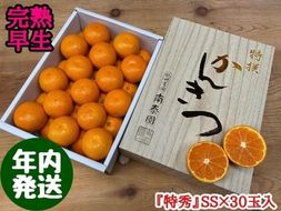 年内発送 完熟早生 有田みかん 化粧小箱 特秀 小玉 SS サイズ 30玉入 和歌山 南泰園 みかん BS639