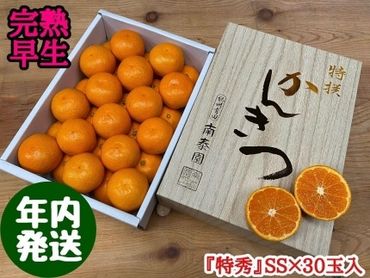 年内発送 完熟早生 有田みかん 化粧小箱 特秀 小玉 SS サイズ 30玉入 和歌山 南泰園 BS639