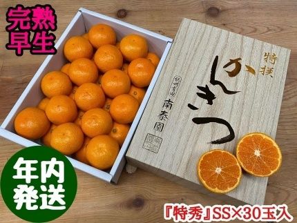 年内発送 完熟早生 有田みかん 化粧小箱 特秀 小玉 SS サイズ 30玉入 和歌山 南泰園 BS639