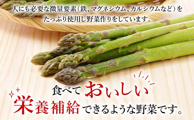 【先行予約】熊本県八代市産 アスパラガス 2kg やさい 新鮮 アスパラ【2025年4月上旬より順次発送】