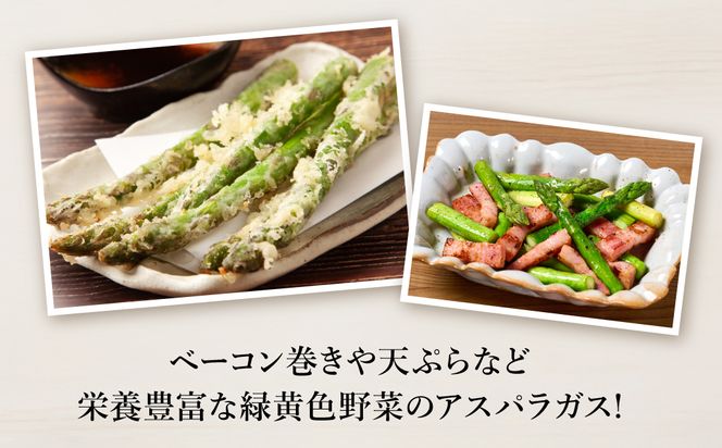 【先行予約】 熊本県 八代市産 アスパラガス 2kg 新鮮 アスパラ 野菜 やさい 旬 【2026年4月上旬より順次発送】