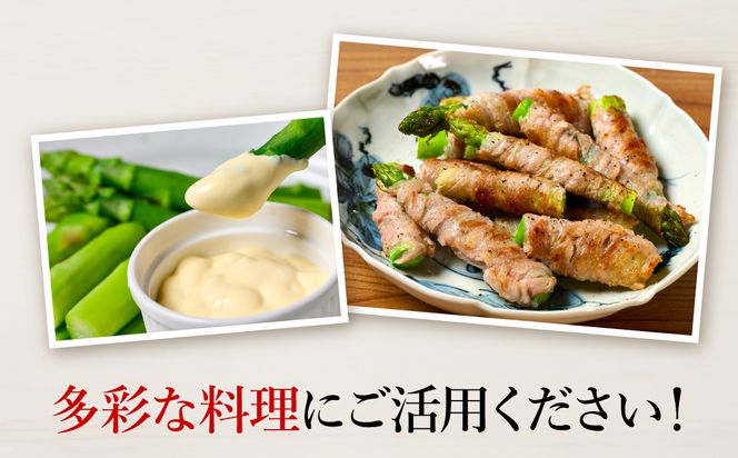 【先行予約】 熊本県 八代市産 アスパラガス 5kg 新鮮 アスパラ 野菜 やさい 旬 【2026年4月上旬より順次発送】