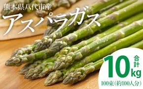 【先行予約】熊本県八代市産 アスパラガス 10kg やさい 新鮮 アスパラ【2025年4月上旬より順次発送】