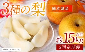 【先行予約】 【定期便3回】 熊本県産 3種の梨の定期便 約5kg ×3回 (計15kg) 【2025年8月下旬より順次発送】