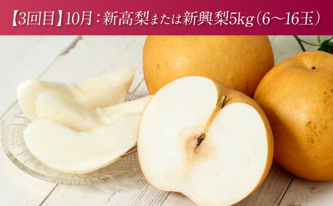 【先行予約】 熊本県産 3種の梨の定期便 約5kg ×3回 (計15kg) 【2024年8月下旬より順次発送】