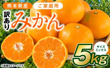 [先行予約][訳あり]熊本県産 みかん サイズミックス 約5kg[2024年12月下旬より順次発送]