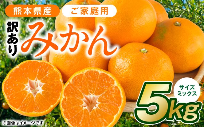 【先行予約】【訳あり】熊本県産 みかん サイズミックス 約5kg【2024年12月下旬より順次発送】