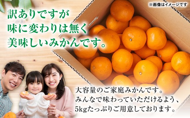 【先行予約】【訳あり】熊本県産 みかん サイズミックス 約5kg【2024年12月下旬より順次発送】