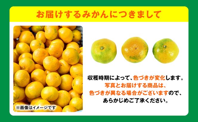 【先行予約】【訳あり】熊本県産 みかん サイズミックス 約5kg【2024年12月下旬より順次発送】