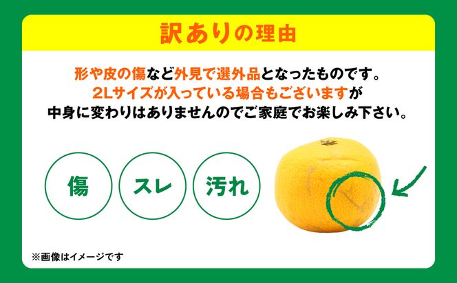 【先行予約】【訳あり】熊本県産 みかん サイズミックス 約5kg【2024年12月下旬より順次発送】