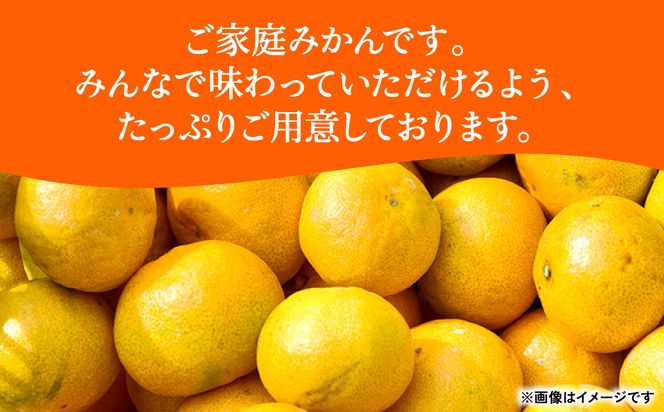 【訳あり】熊本県産 みかん サイズミックス 約5kg