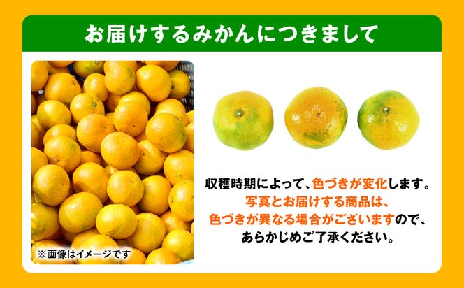 【訳あり】熊本県産 みかん サイズミックス 約2kg