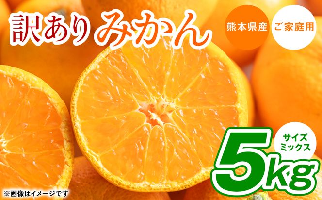 【訳あり】熊本県産 みかん サイズミックス 約5kg