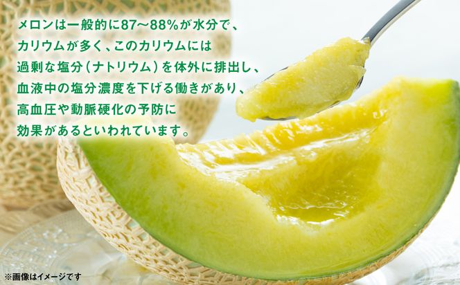 肥後グリーン ＆ レノンメロン 食べ比べセット 合計2玉 4L以上（合計4kg以上） メロン 赤肉メロン 果物 果実 くだもの フルーツ 熊本県 八代市