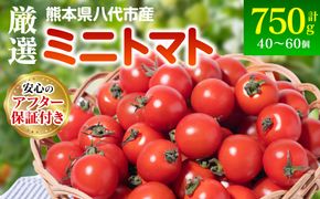 厳選 ミニトマト 750g トマト 野菜 厳選 やさい サラダ 甘い