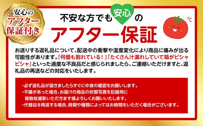 【先行予約】厳選ミニトマト 750g トマト 野菜 厳選 やさい サラダ 甘い【2024年12月上旬より順次発送】