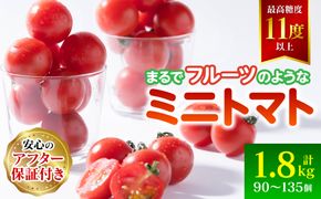 【先行予約】まるでフルーツの様なミニトマト 1.8kg トマト 甘い 国産 野菜 やさい 【2024年12月上旬より順次発送】 