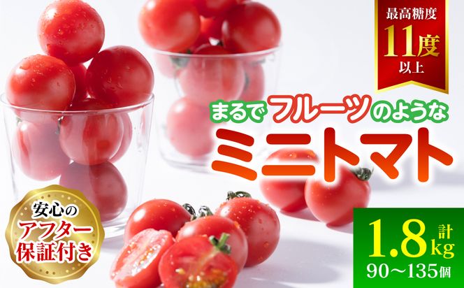 【先行予約】まるでフルーツの様なミニトマト 1.8kg トマト 甘い 国産 野菜 やさい 【2024年12月上旬より順次発送】 